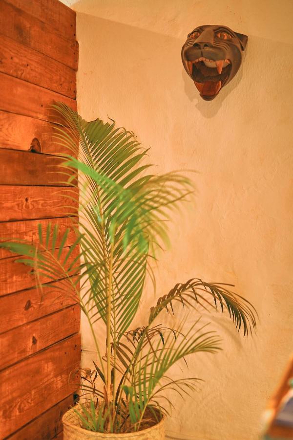 Blue Pepper Beds Sayulita Hostel Eksteriør bilde